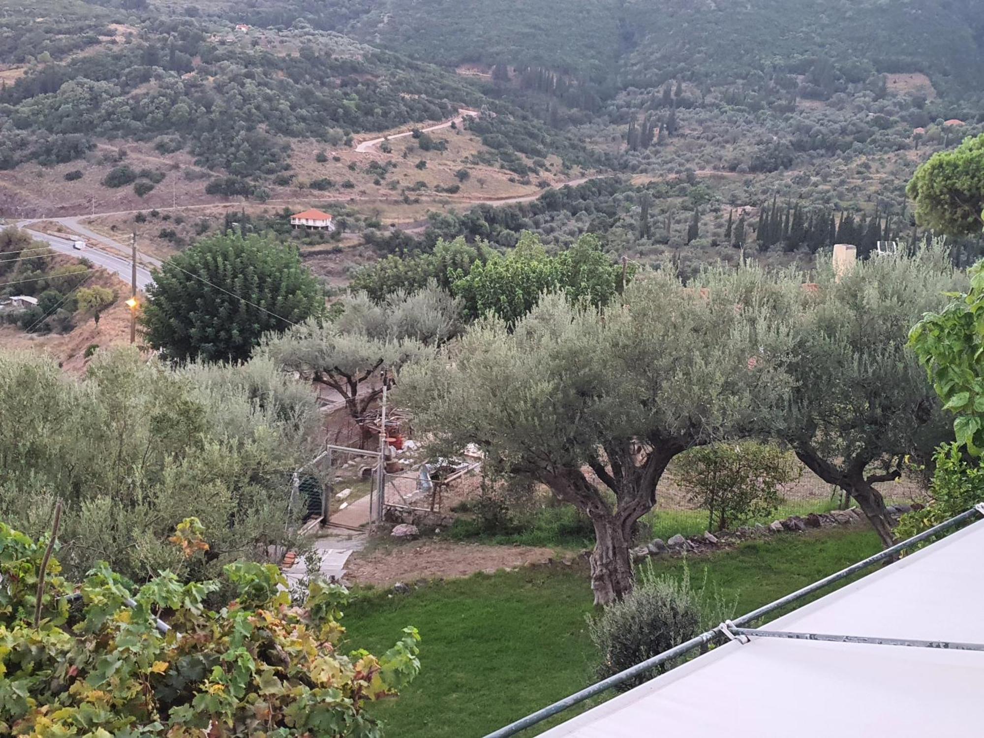 Holiday home σπίτι με θέα Nafpaktos